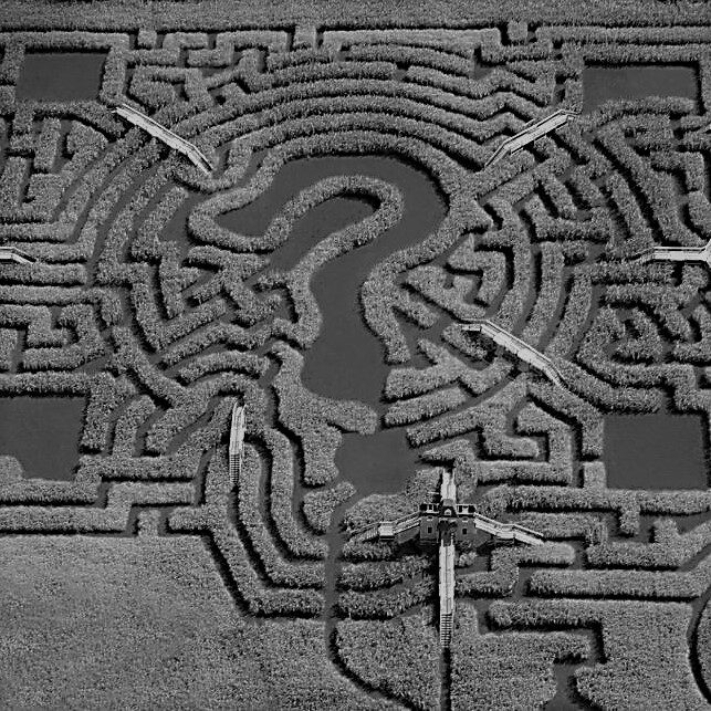 maze_b&w